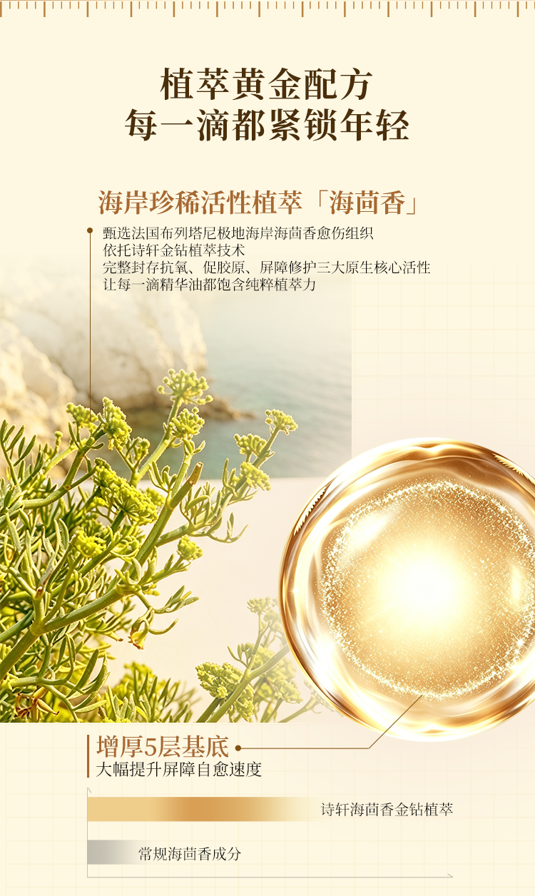 图层 7.png