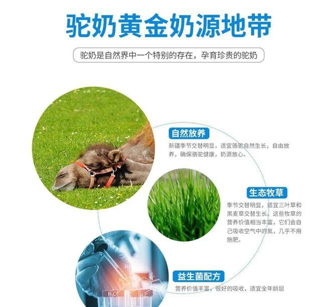 古路驼宝驼奶粉：中国驼乳业振兴，“卷”的是品质 商业资讯 第2张