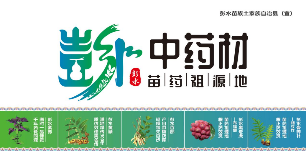彭水中药材区域公用品牌专题推介，助力中药材产业提质提速发展 业界 第3张