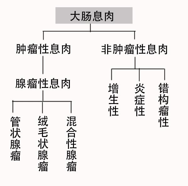 肠息肉.jpg