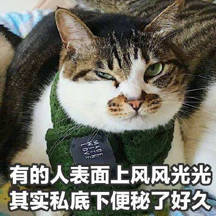 timg
