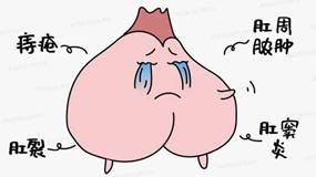 19.webp