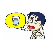 65.webp