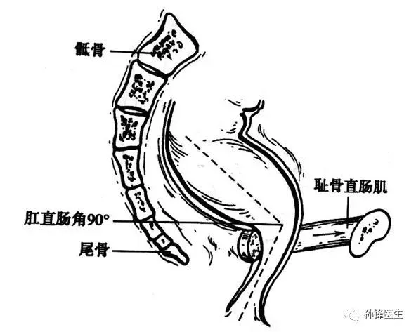 图片 8.png