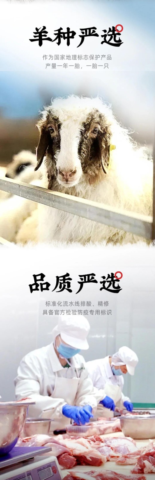 蟹状元盐池滩羊001133.jpg