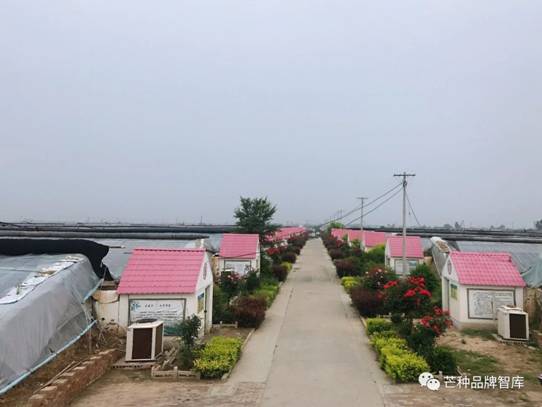 https://mmbiz.qpic.cn/sz_mmbiz_jpg/riaWbpicnFICoZmXdK6n5gHmMvhib2EZGornoibqZWUR0agCcWU42SE8PRiaZjtpC7l6WOcxEpXcTvxVHoCe1iaTBlgQ/?wx_fmt=jpeg