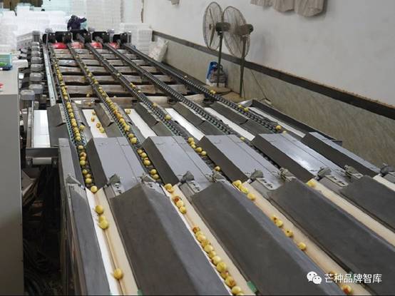 https://mmbiz.qpic.cn/sz_mmbiz_jpg/riaWbpicnFICoZmXdK6n5gHmMvhib2EZGorZK95waCVeLp6GvJHlHW6kyCA8pBLibAak6ZnAibk71zenP2q0jqv16RQ/?wx_fmt=jpeg
