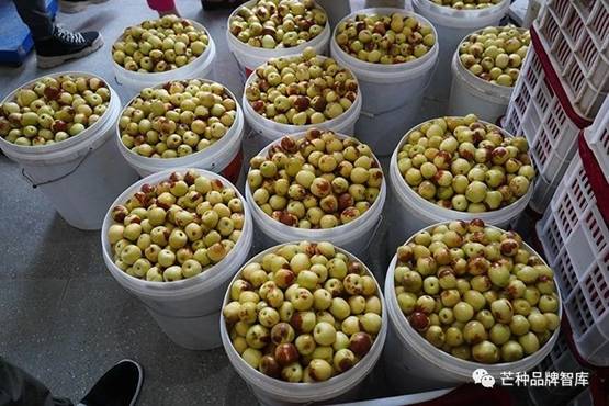 https://mmbiz.qpic.cn/sz_mmbiz_jpg/riaWbpicnFICoZmXdK6n5gHmMvhib2EZGorrhDRC8giatpG9r6HFmC5RplLiacm5TnDeFlRTICKBmbM2ice3DJTyj7ibA/?wx_fmt=jpeg