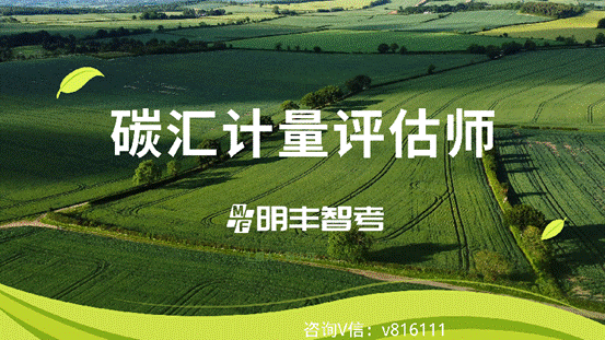 绿白色大学生乡村规划方案简约农业比赛中文演示文稿