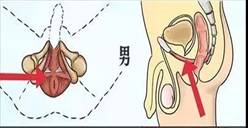 男人的战斗力强弱，看这里就知道！