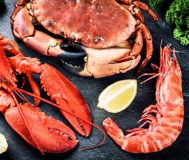 胃部总是隐隐作痛该怎么办? 胃部总是隐隐作痛该怎么办?