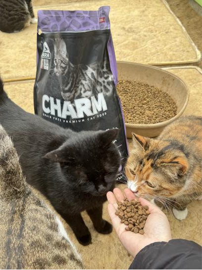 20260414092320964852.png 图片2.png