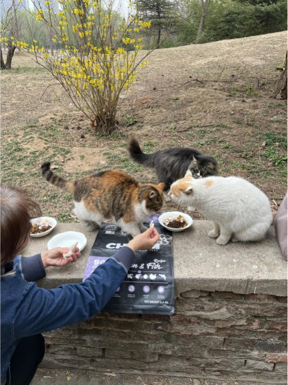 20260414092423748034.png 图片4.png